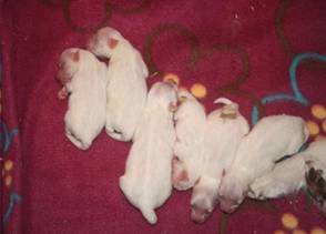 image003.jpg