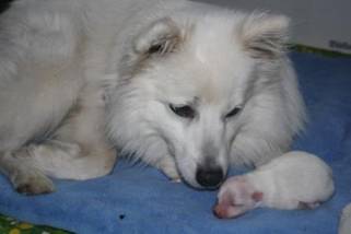 image009.jpg