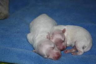 image011.jpg