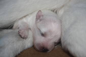 image041.jpg