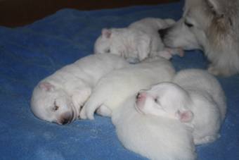 image047.jpg