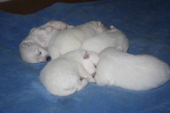 image048.jpg