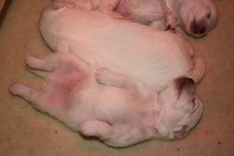 image049.jpg