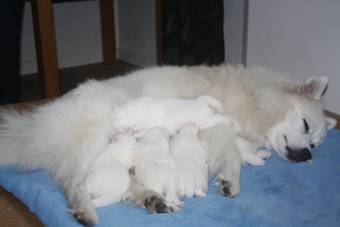 image050.jpg