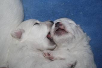 image040.jpg