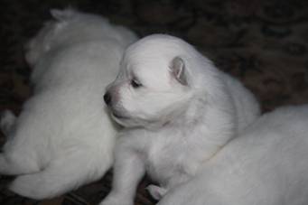 image002.jpg