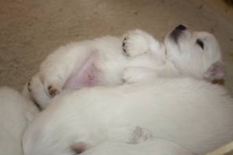 image014.jpg