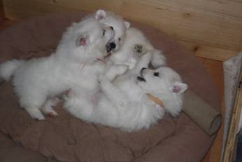 image002.jpg