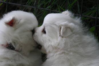 image024.jpg