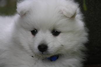 image002.jpg