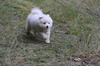 image022.jpg