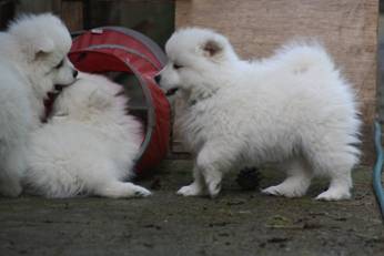image010.jpg
