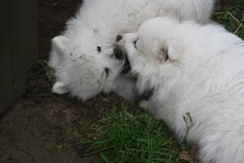 image020.jpg