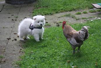 image024.jpg