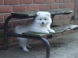 image032.jpg