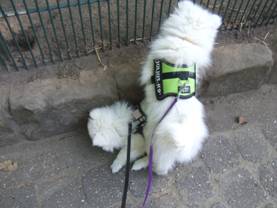 image006.jpg