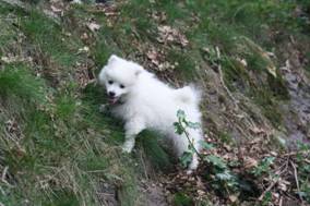 image034.jpg