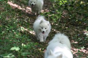 image022.jpg