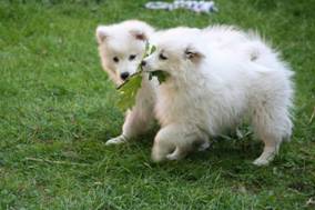 image044.jpg