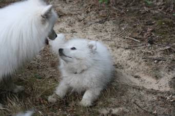 image020.jpg