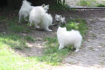 image038.jpg