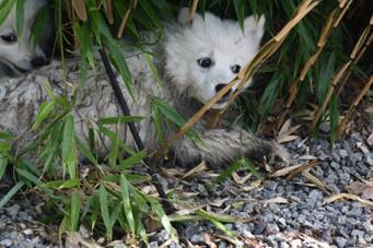 image044.jpg