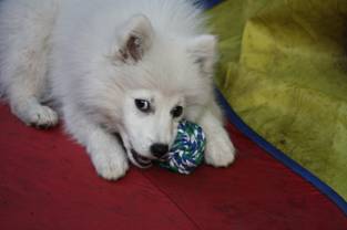 image008.jpg