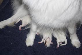 image004.jpg