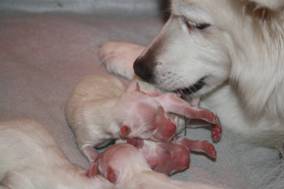 image008.jpg