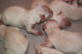 image010.jpg