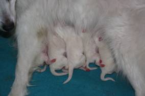 image020.jpg