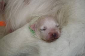 image044.jpg