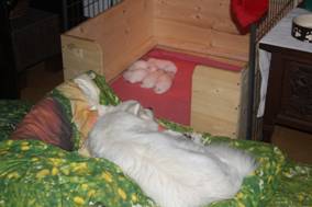 image010.jpg