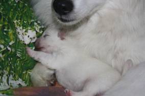 image018.jpg