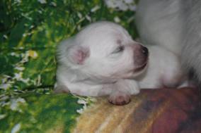 image020.jpg