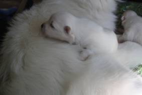 image002.jpg