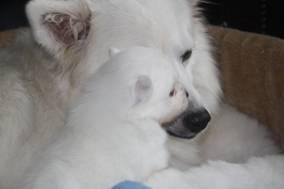 image012.jpg