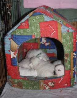 image020.jpg