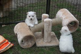 image022.jpg