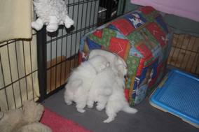 image024.jpg
