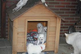 image026.jpg