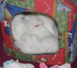 image014.jpg