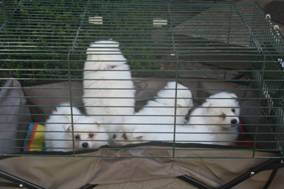 image034.jpg