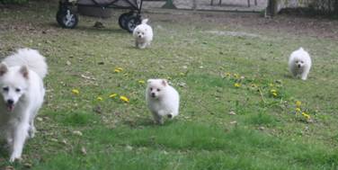 image018.jpg