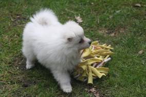 image004.jpg