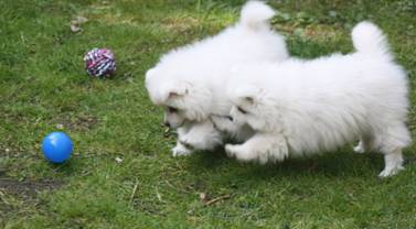 image020.jpg