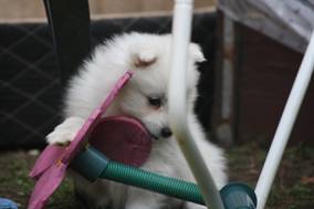 image026.jpg