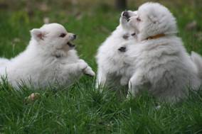 image046.jpg