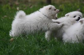 image048.jpg