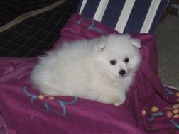 image050.jpg